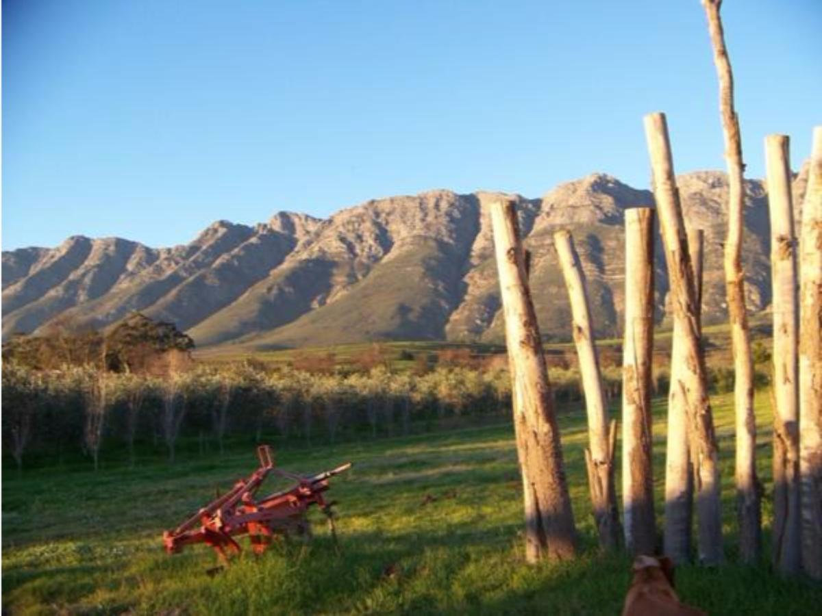 Fraaigelegen Farm - Home Of Adhara Evoo Tulbagh Esterno foto