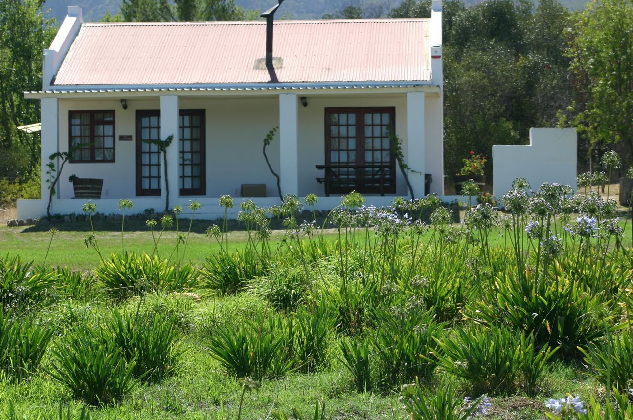 Fraaigelegen Farm - Home Of Adhara Evoo Tulbagh Esterno foto