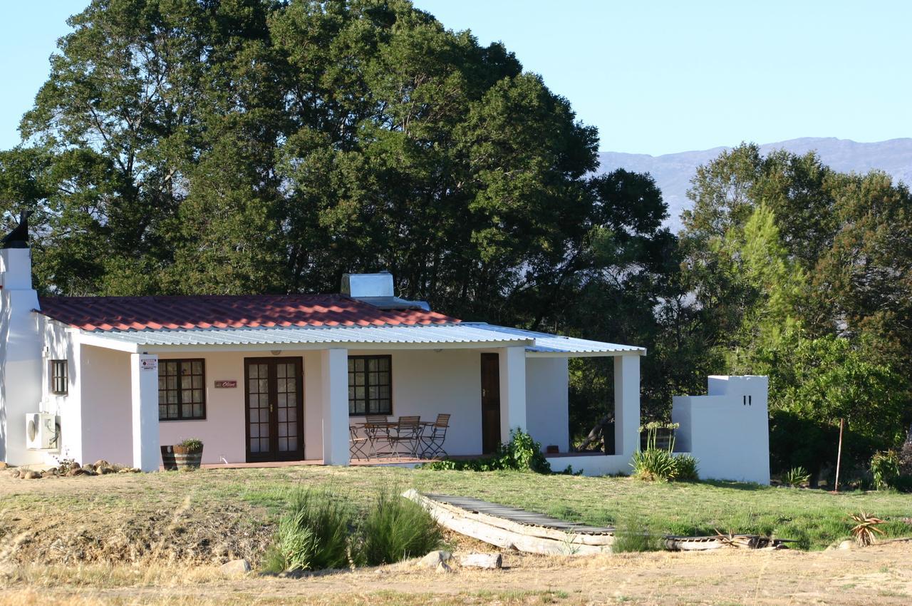 Fraaigelegen Farm - Home Of Adhara Evoo Tulbagh Esterno foto