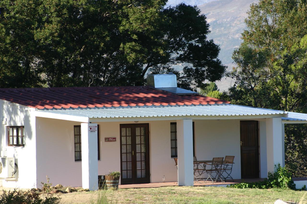 Fraaigelegen Farm - Home Of Adhara Evoo Tulbagh Esterno foto