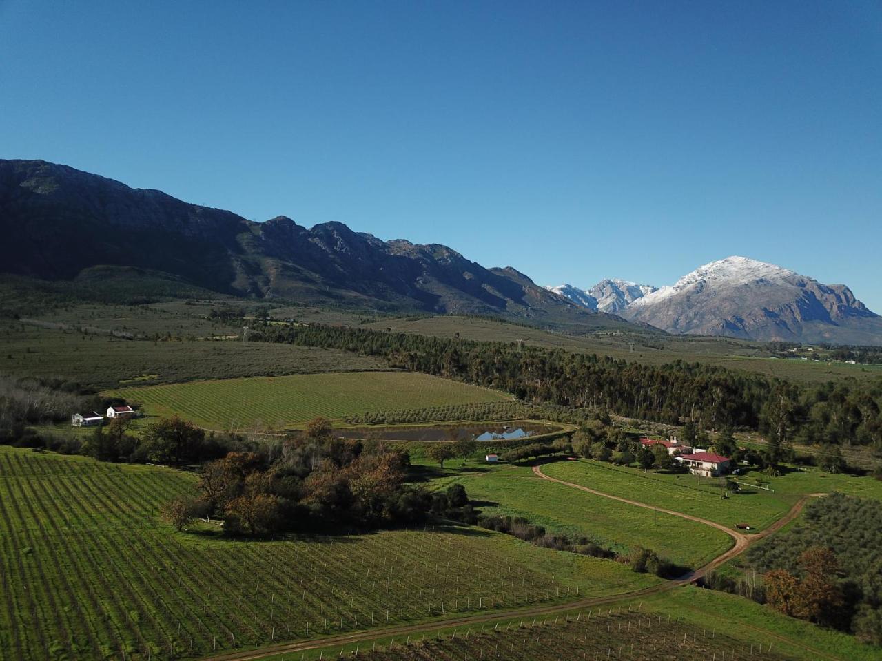 Fraaigelegen Farm - Home Of Adhara Evoo Tulbagh Esterno foto