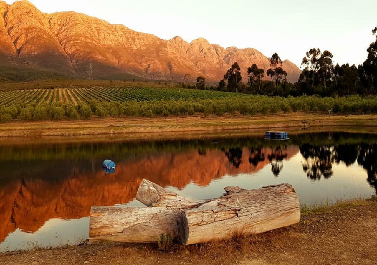 Fraaigelegen Farm - Home Of Adhara Evoo Tulbagh Esterno foto